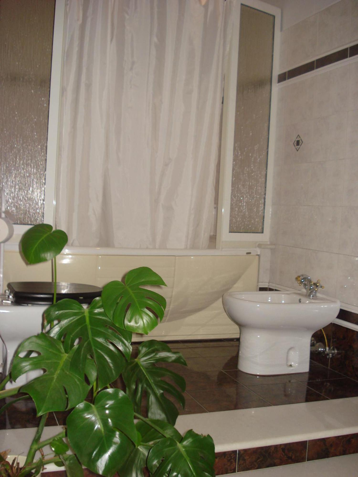 Bed and Breakfast La Mia Casa per Tutti Cerveteri Esterno foto