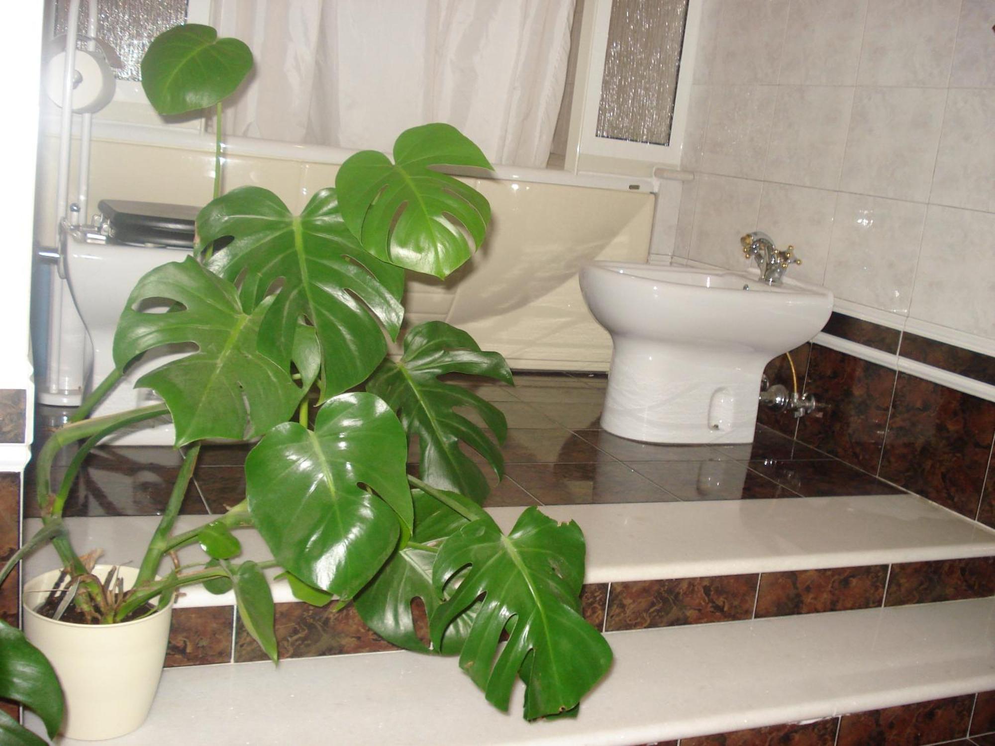 Bed and Breakfast La Mia Casa per Tutti Cerveteri Esterno foto