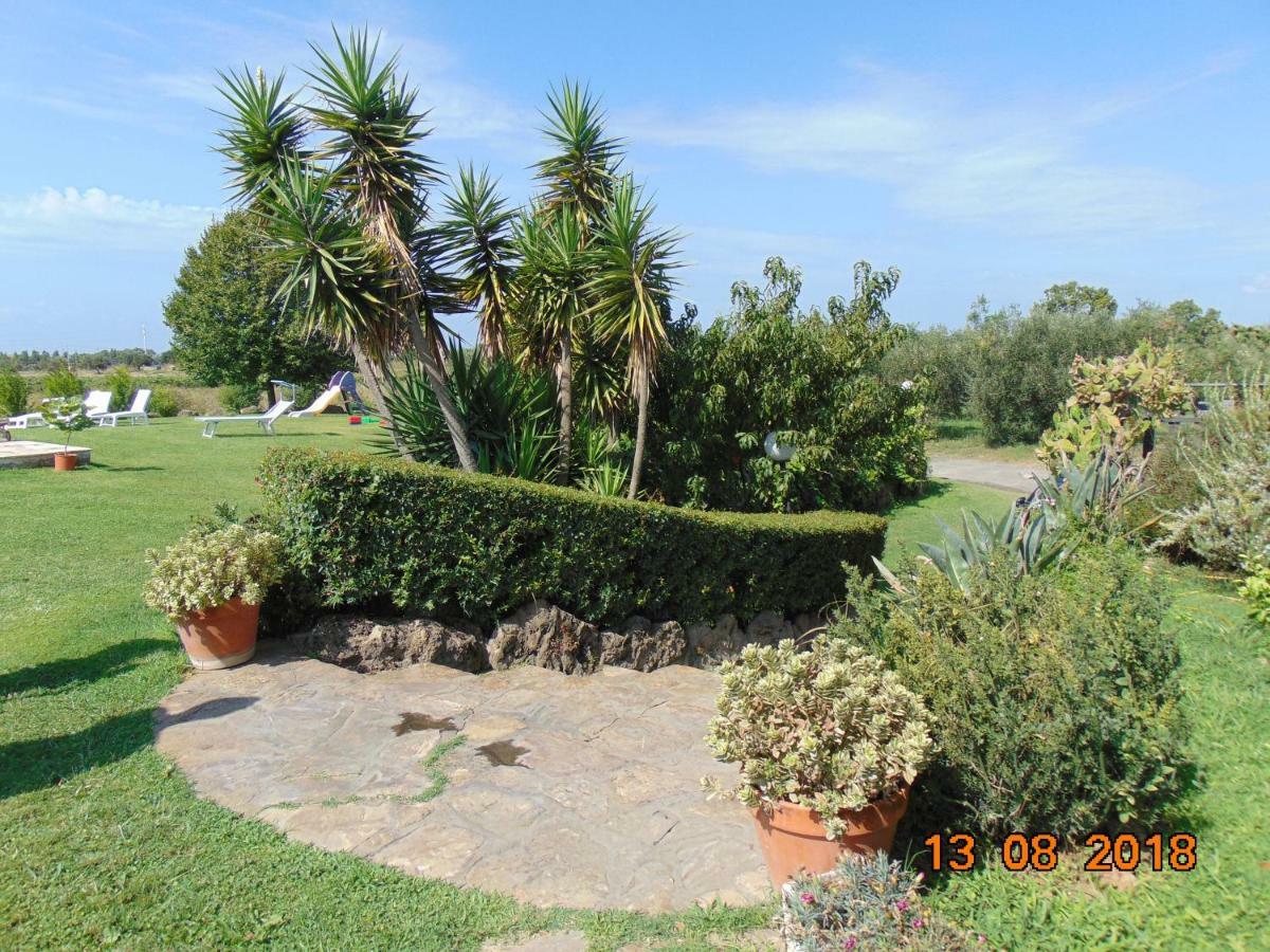 Bed and Breakfast La Mia Casa per Tutti Cerveteri Esterno foto