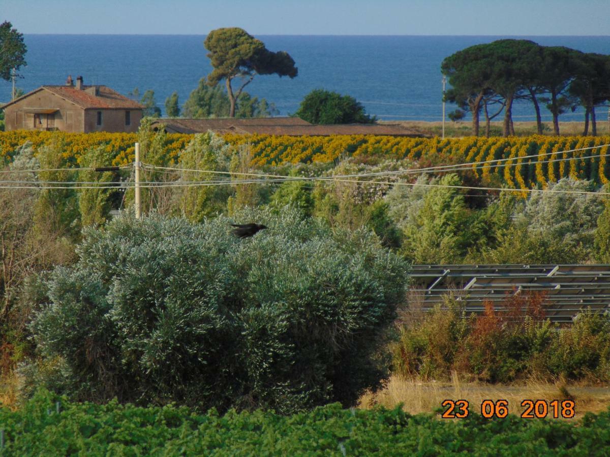 Bed and Breakfast La Mia Casa per Tutti Cerveteri Esterno foto
