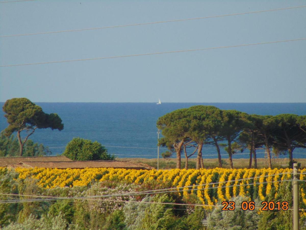 Bed and Breakfast La Mia Casa per Tutti Cerveteri Esterno foto